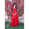 Vestido medieval Constance