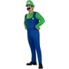 Disfraz de Luigi