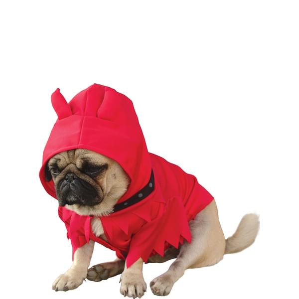 formato Seguid así plan Los mejores disfraces de perro para Halloween